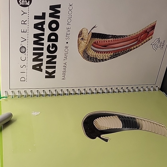 Set of Discovery Plus Children's Books - Picture 16 of 16